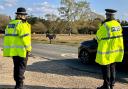 Hampshire police have revealed that two children have been kicked by ponies this summer in the New Forest.