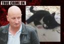 The Victims of 'The Brighton Cat Killer'