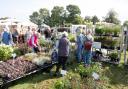 Broadlands Garden Show in 2023
