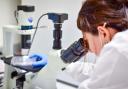 The study will begin in spring 2026 at 16 hospitals across the UK (Alamy/PA)
