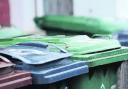 Wheelie bins have begun to replace plastic refuse sacks in part of the New Forest