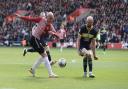 Saints were denied by a late equaliser at St Mary's,