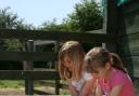 Win a family ticket to Longdown Activity Farm.