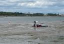 Calshot Beach