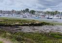 Solent Way in Warsash. Picture: OS