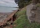 View looking north along the cliff face with eroded sheet piling below. Image: Ecological Impact Assessment, Eastleigh Borough Council