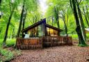 Forest Holidays has a site at Blackwood Forest in Hampshire which has been well-received by Which? users