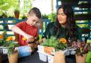 The 'Show and Tell and Growing' workshop will encourage children to learn all about plants and how to grow them