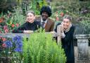 London Touring Players are returning to Furzey Gardens, having previously staged Twelfth Night at the same venue