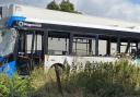 Damaged bus on the A31, July 17