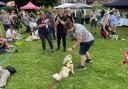 Hundreds turned up to Riverside Park to experience Trifest in Bitterne