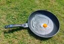 Egg being fried in a pan