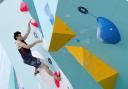 Sports climbing is one of the newest events at the Olympics and here's how it all works