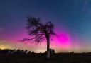 Perseid meteor shower and Aurora Borealis as seen in the New Forest on Sunday night and Monday morning