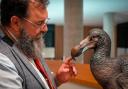 Dr Neil Gostling with palaeoartist Karen Fawcett’s Dodo sculpture