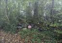 These bags were dumped in Ashley Down Lane, Boarhunt