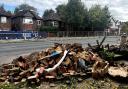 Resident's destroyed front garden on Bitterne Road West after a car flattened his brick wall, greenhouse and compost heap.