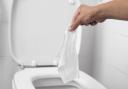 Here is the easiest way to unblock a toilet without using a plunger