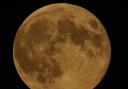 The yellow tint of the Hunter's Moon in peak brightness.