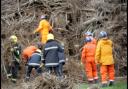 Dog stuck in bonfire pile at Swanmore. Firefighters and the Search and Rescue team look for Milo as owner George Smith junior waits.