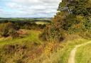 On the walk over Stockbridge Down