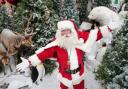 Meet Santa at Dobbies