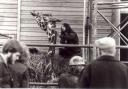 Victor the giraffe at Marwell Zoo. 1977.