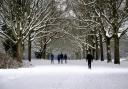 A snowy day in Southampton Common - could we see a white Christmas in 2024?