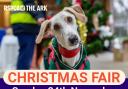 RSPCA branch to host annual Christmas Fair this month