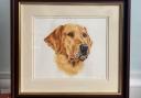 The Best in Show award was given to Mike Smithson for his painting 'Bruce', a Golden Labrador