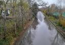 Flooding on Thomas Lewis Way