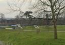 The incident took place at Fareham Park Lane skate park.