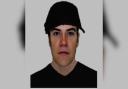 Police have released an e-fit of a man they want to speak to in connection with the incident.