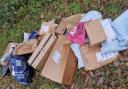 A pile of parcels and packages due to be delivered by Evri were dumped near a woodland in Chandler's Ford