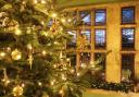 The Christmas tree at Palace House