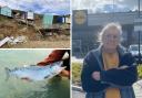 Beach hut owners had to weather the storm as their seaside homes tumbled, while McDonald’s customers got more than they bargained for in April