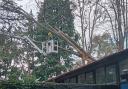 Tree surgeons pulled a tree off of Southampton Sight's charity hall roof on Monday December 9.