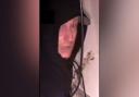 Police want to speak to a man in connection with a burglary at a popular waterfront restaurant.