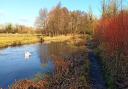 On the Bishopstoke to Brambridge hike