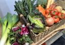 Locally grown veg from Hampshire Market Garden