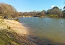 Setley Pond