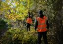 Community Payback (CP) offers a unique and fulfilling opportunity to support rehabilitation while giving back to the community.
