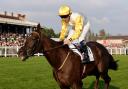 Kihavah ridden by jockey P J McDonald (Steve Welsh/PA)