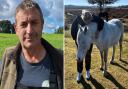 Andrew Parry-Norton, New Forest Commoner Defence Association chairman, left, blasted authorities for not 