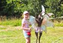 New Fairy, Witches, and Dragons trail set to open