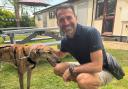 Franny Benali and Hero the rescue, who is currently up for rehoming