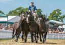 The three-day New Forest and Hampshire County Show more than 85,000 people