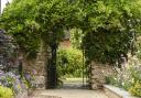 Country house gardens at Beaulieu hotel open under National Garden Scheme