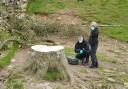 Forensic investigators from Northumbria Police examine the felled Sycamore Gap tree, on Hadrian’s Wall in Northumberland (Owen Humphreys/PA)
