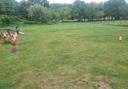 The school, located on a field at Lower Grove Farm, Upper Northam Drive, has been operating under temporary permission and now seeks a permanent conversion of the field from agricultural to commercial use